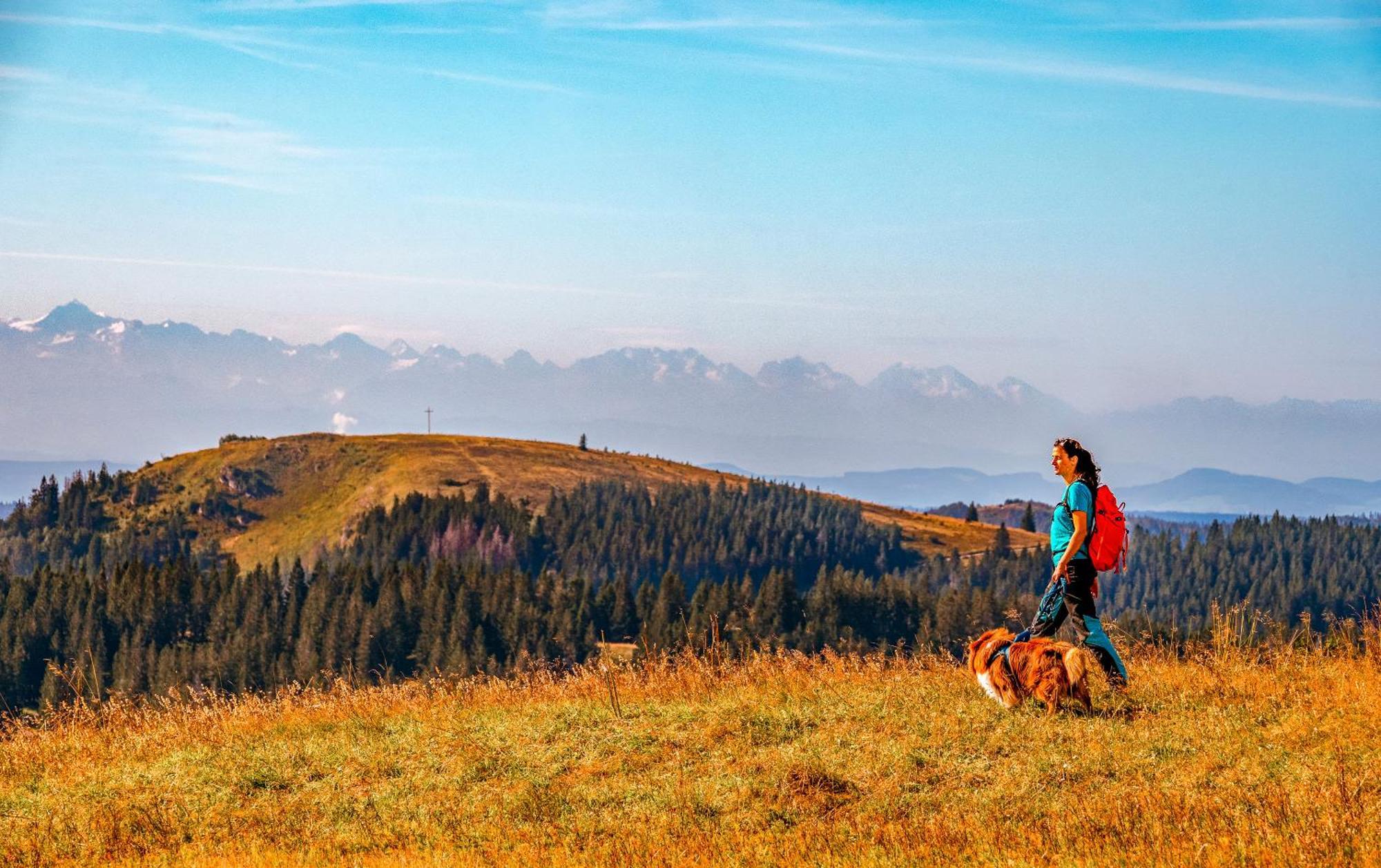 Ferienwohnungen Kehrwieder Todtnauberg Exterior foto